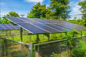 small-solar-farm-solar-panel-with-green-ecology-plant-tree-sunny-blue-sky-eco-power-clean-energy-for-nature-savings-environment-technology-concept-free-photo